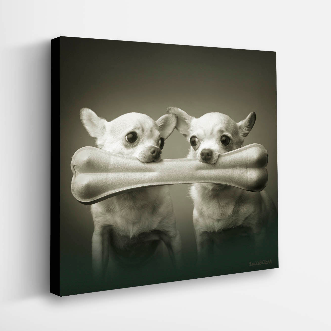 Chihuahua canvas clearance art