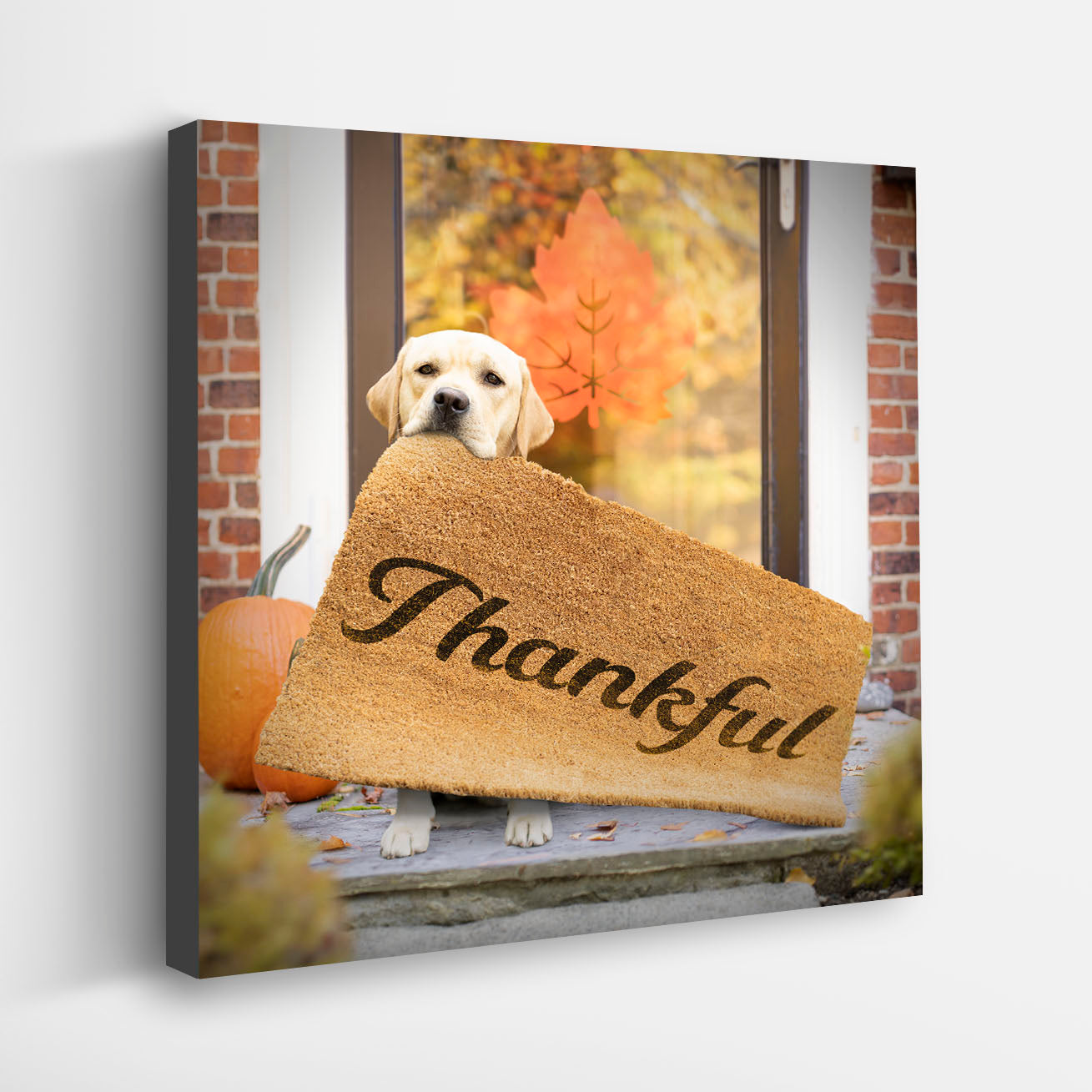 Golden Retriever Doormat - shop easily