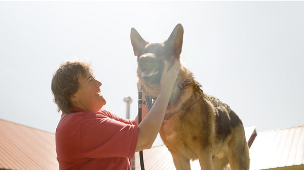 How We Made Our First Short Documentary Film – To Comfort and Serve – Service Dogs for Veterans with PTSD