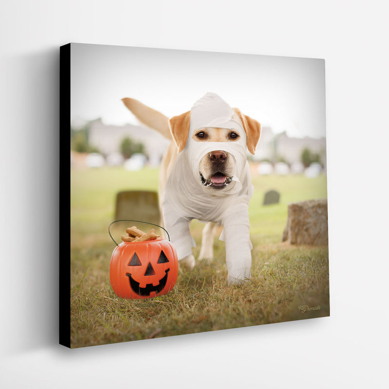 The Mummy - Yellow Labrador and Pumpkin Art Print | Dog Lover Fall Home Wall Decor