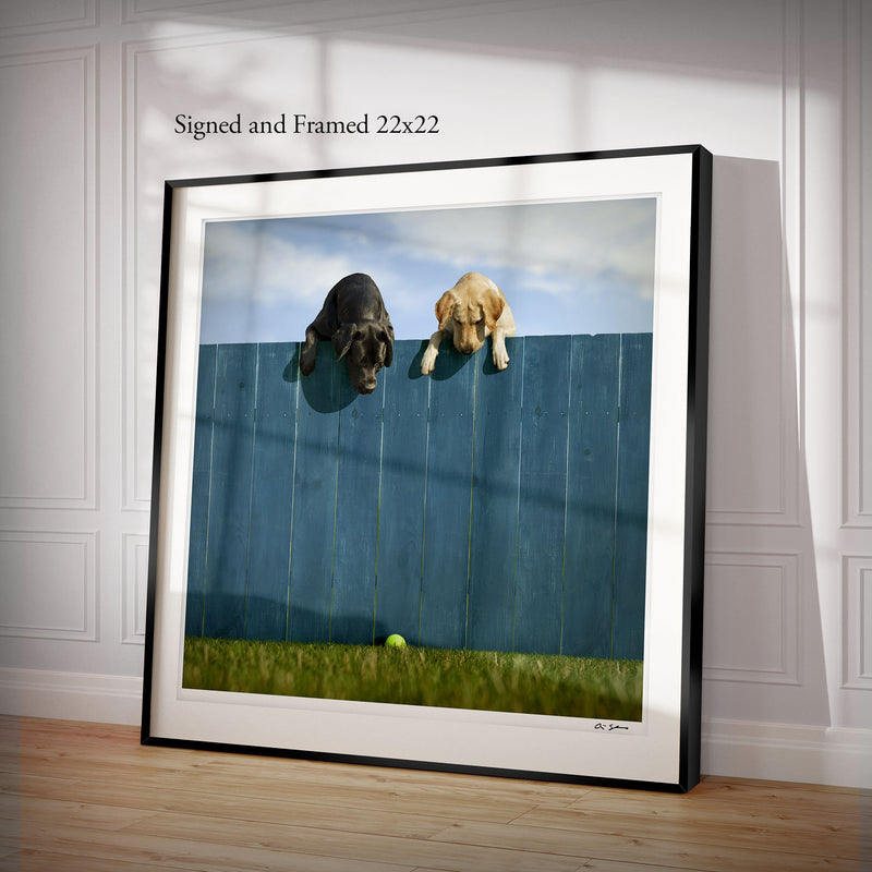 OUT OF THE PARK On the Fence Dog Canvas Art Print - Labrador Wall Art