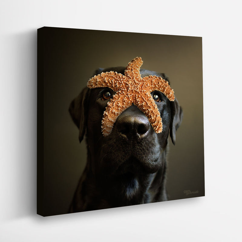 REEF Starfish Dog Art Canvas Print - Labrador Coastal Beach House Artwork - Home Wall Decor