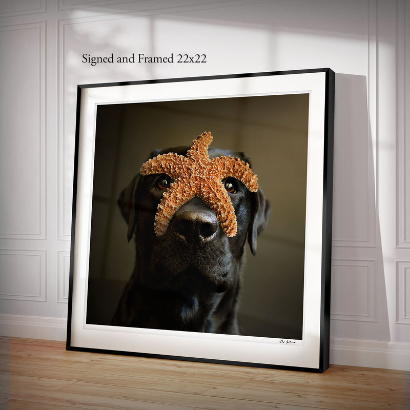 REEF Starfish Dog Art Canvas Print - Labrador Coastal Beach House Artwork - Home Wall Decor