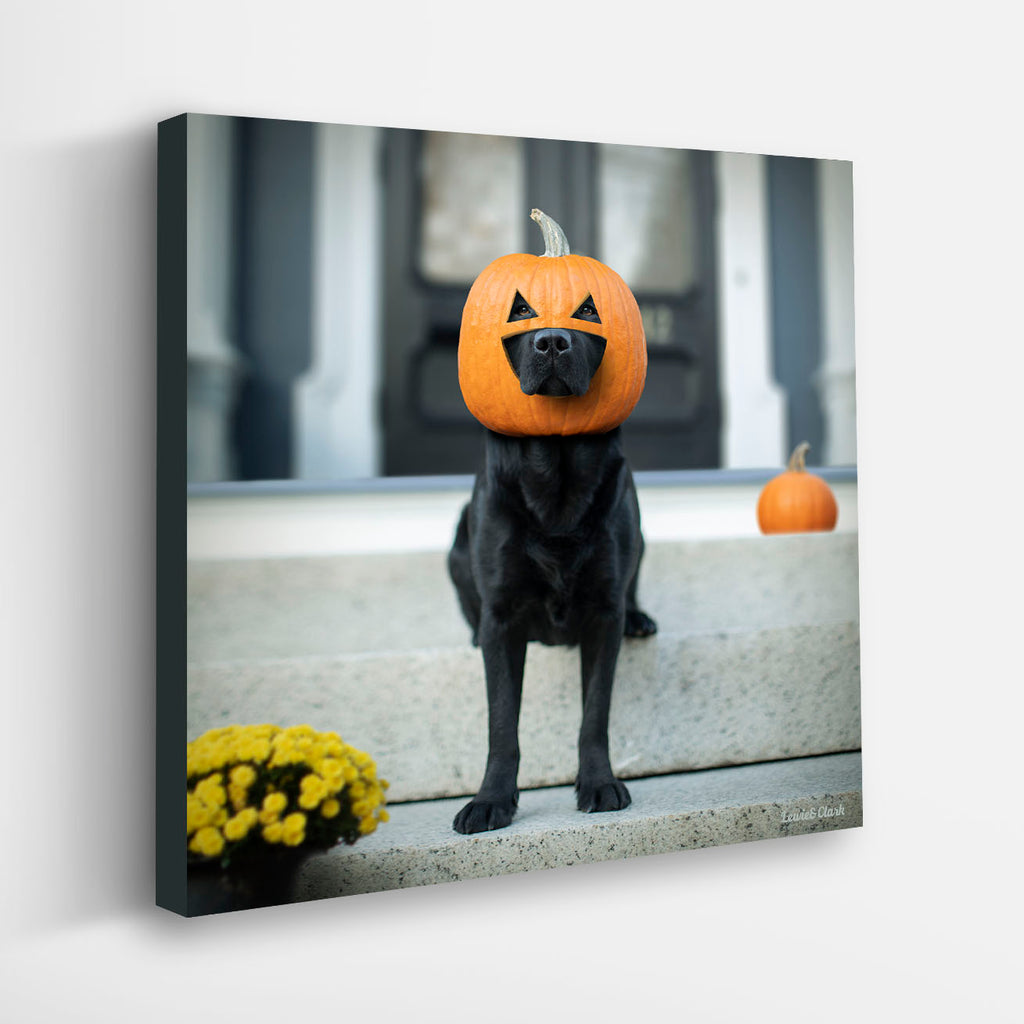 Jack's Patch Pumpkin Farm Art Print Halloween Wall Art 